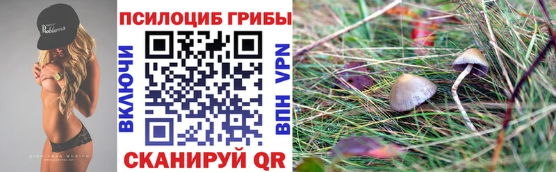 купить  цена  Усть-Илимск  Галлюциногенные грибы GOLDEN TEACHER 